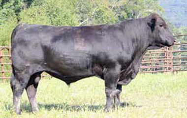 Lot 15 - 103X TG 5122D ET